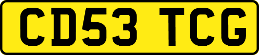 CD53TCG