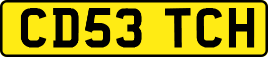 CD53TCH