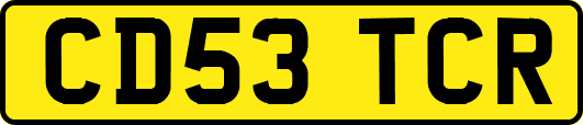 CD53TCR