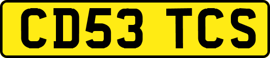 CD53TCS