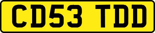 CD53TDD