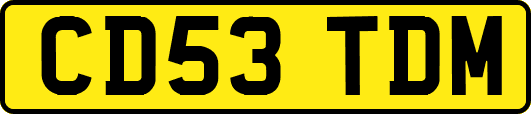 CD53TDM