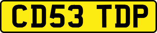 CD53TDP