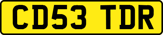 CD53TDR