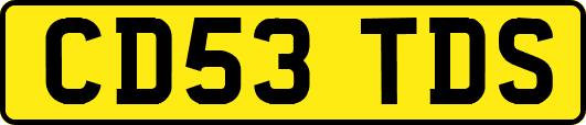 CD53TDS