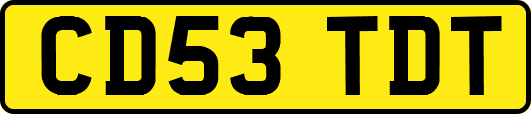 CD53TDT