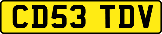 CD53TDV