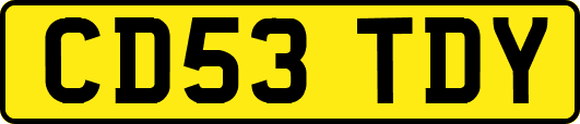 CD53TDY