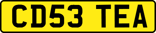 CD53TEA