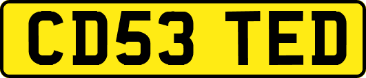CD53TED
