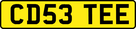 CD53TEE