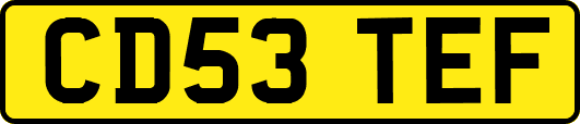 CD53TEF