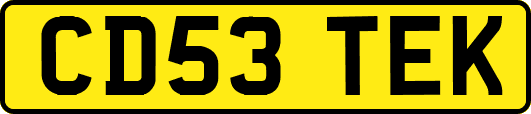 CD53TEK
