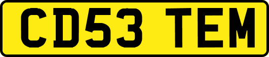 CD53TEM
