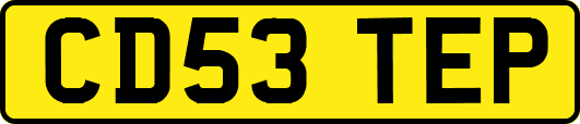 CD53TEP