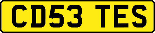 CD53TES