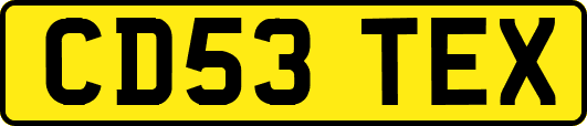 CD53TEX