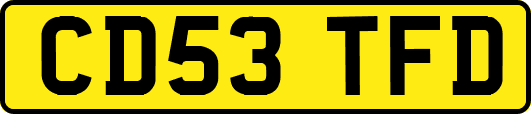CD53TFD