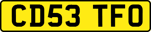 CD53TFO