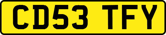CD53TFY
