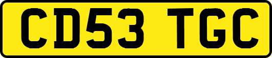 CD53TGC
