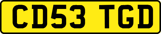 CD53TGD