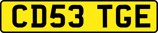 CD53TGE