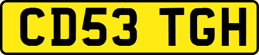 CD53TGH