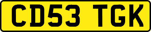 CD53TGK