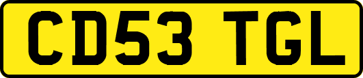 CD53TGL