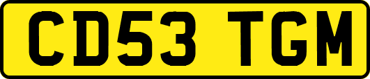 CD53TGM