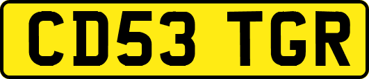 CD53TGR