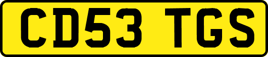 CD53TGS