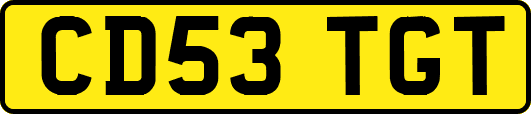 CD53TGT