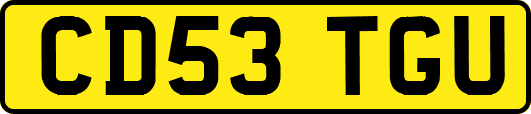 CD53TGU