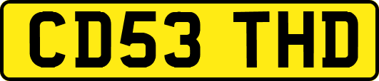 CD53THD