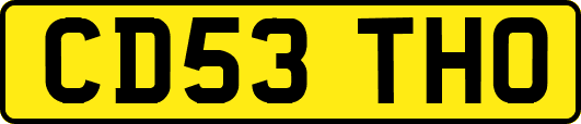 CD53THO