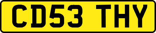 CD53THY