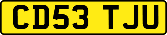 CD53TJU