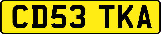 CD53TKA