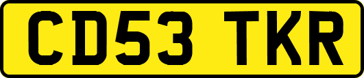 CD53TKR