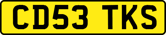 CD53TKS
