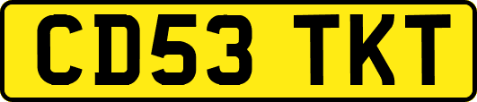 CD53TKT