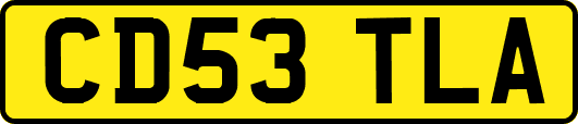 CD53TLA