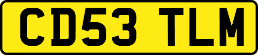 CD53TLM