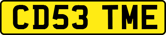 CD53TME