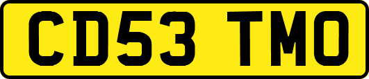 CD53TMO