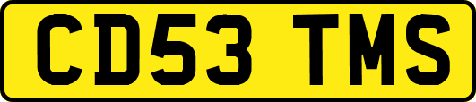 CD53TMS