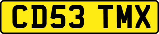 CD53TMX