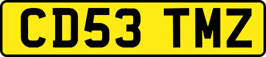 CD53TMZ